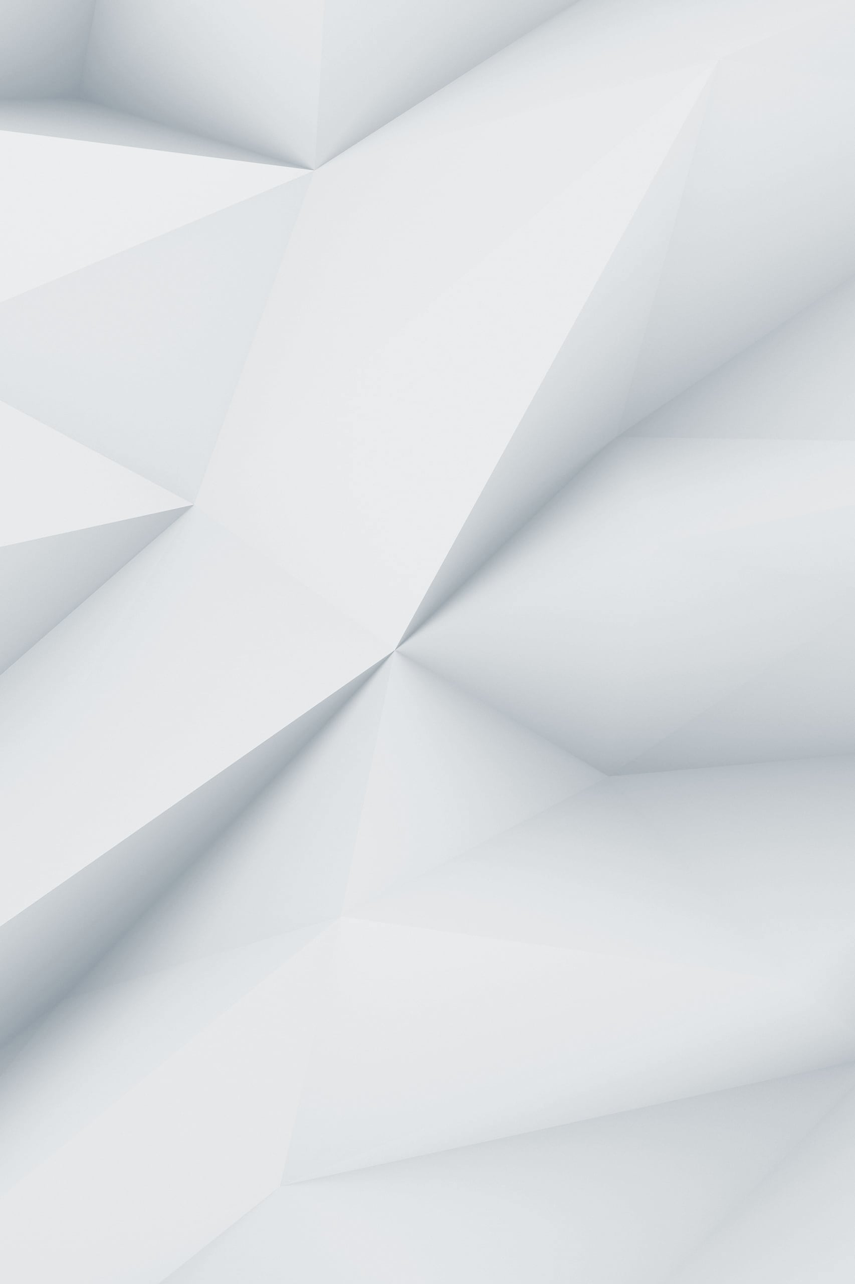 demo-image-00006