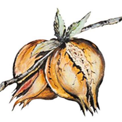 Il Melograno Ristorante Altopascio